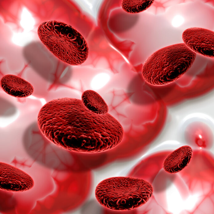 células do sangue, doença que altera colesterol