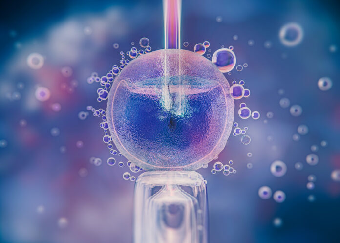 embriões congelados